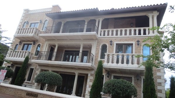 Palladio House In Orlando (4)