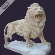 Animal (1)